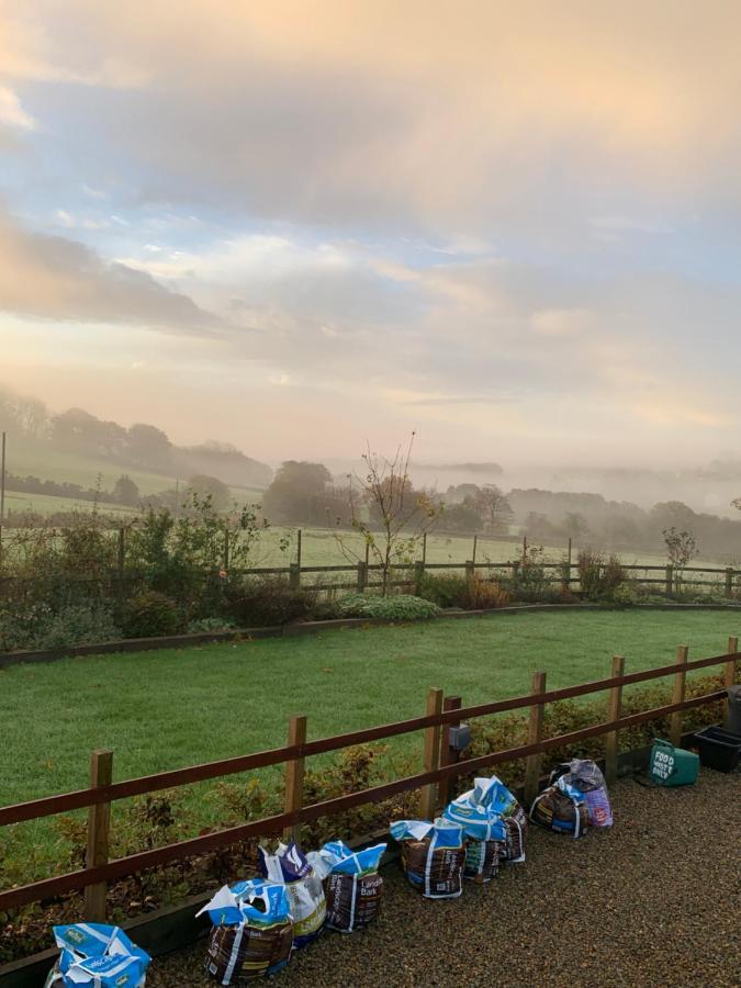 Neuadd Villa Llanwnen Exteriör bild